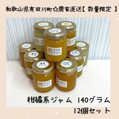 有田みかんの産地　有田川町から届く　無添加　柑橘ジャム140g×店主にお任せ12個 数量限定