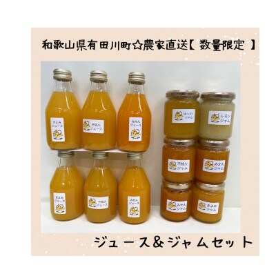 数量限定!有田みかんの産地から届く　店主にお任せ　農家直送の無添加の柑橘ジュース&ジャムセット
