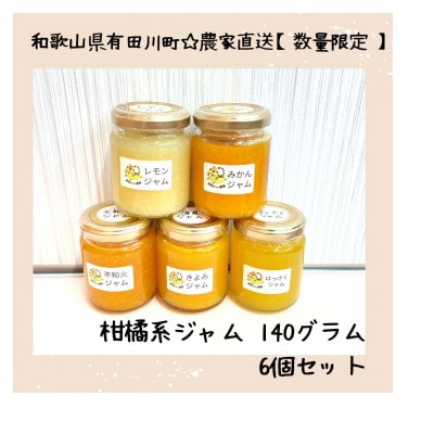 有田みかんの産地　有田川町から届く　無添加　柑橘ジャム140g×店主にお任せ6個 数量限定