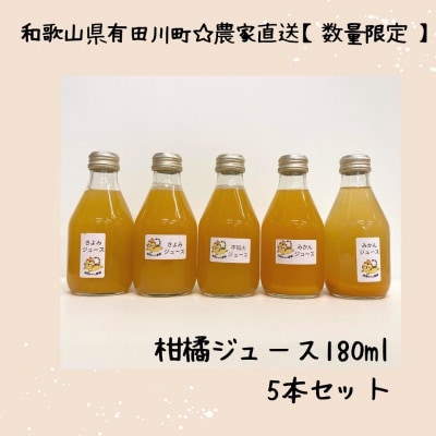 【発送月固定定期便】果汁100%! 柑橘ジュース180ml×5本全3回