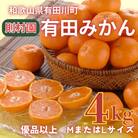 則村園産 有田みかん 4kg