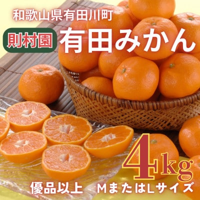 則村園産 有田みかん 4kg
