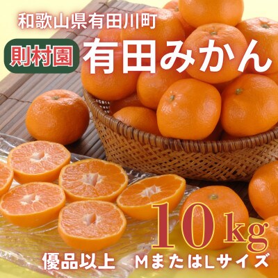 則村園産 有田みかん 10kg