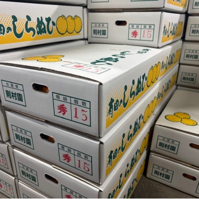 則村園産 不知火 1.5kg
