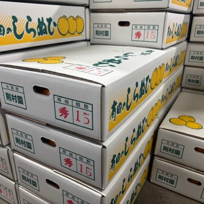 則村園産 不知火 4.8kg