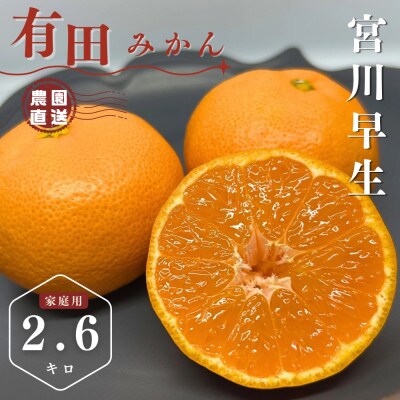 《先行予約》早生　温州みかん　家庭用　有田みかん　箱込み3キロ(2.6キロ)【有田川町】　