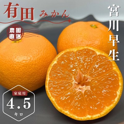 《先行予約》早生　温州みかん　家庭用　有田みかん　箱込み5キロ(4.5キロ)【有田川町】　