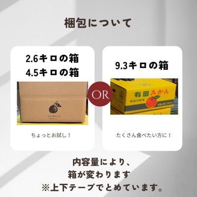 《先行予約》早生　温州みかん　家庭用　有田みかん　箱込み10キロ(9.3キロ)有田川町　