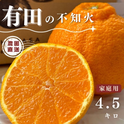 《先行予約》不知火　家庭用　有田の不知火　箱込み5キロ(4.5キロ)　【和歌山県】　サイズ混合