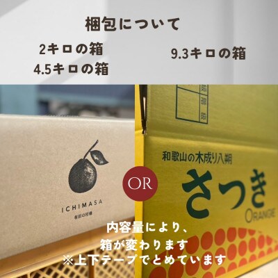 《先行予約》八朔　家庭用　有田の八朔　箱込み5キロ(4.5キロ)　【和歌山県】　サイズ混合