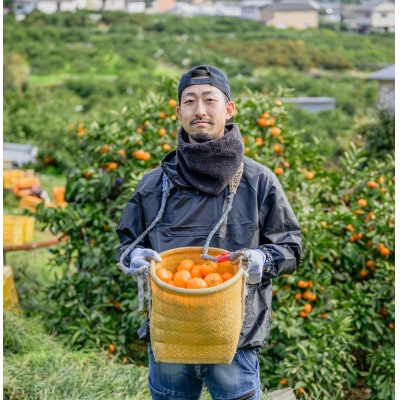 【訳あり】有田みかん糖度11度～ 4.5kg