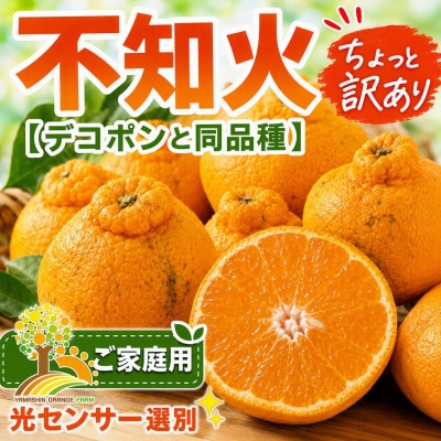 【少し訳あり】不知火(しらぬい) 約10kg サイズ混合 (nuk010-c-10A)