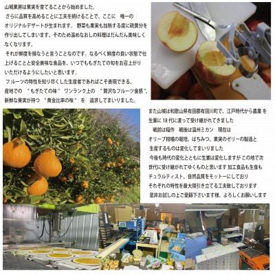 とろり飲むみかんゼリー　270g　8個入り