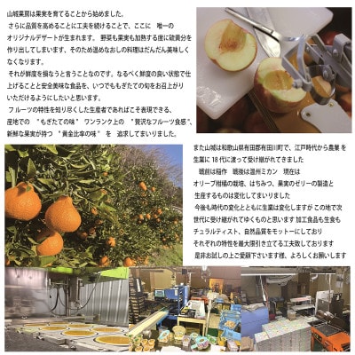 贅沢でこゼリー 190g　12個入り