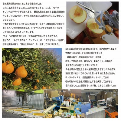 とろり飲むレモンゼリー 270g  8個入り
