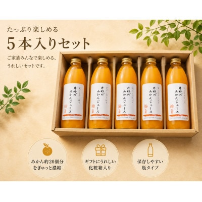 和歌山県有田産みかんジュース500ml×5本