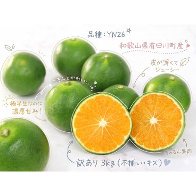 「訳あり 家庭用」YN26　3kg(S～2Lサイズ混合)