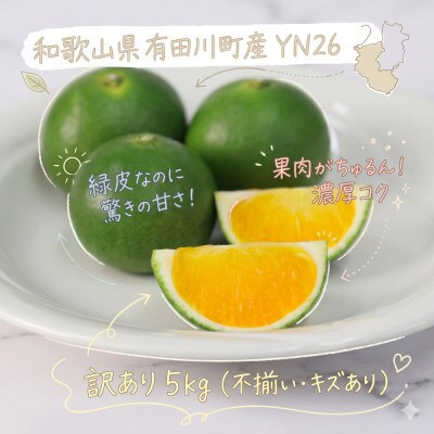 「訳あり 家庭用」YN26　5kg(S～2Lサイズ混合)