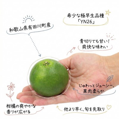 「訳あり 家庭用」YN26　5kg(S～2Lサイズ混合)