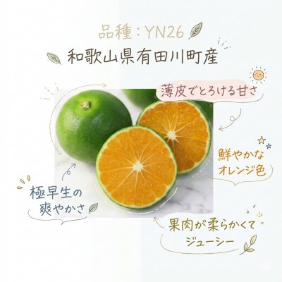「訳あり 家庭用」YN26　5kg(S～2Lサイズ混合)