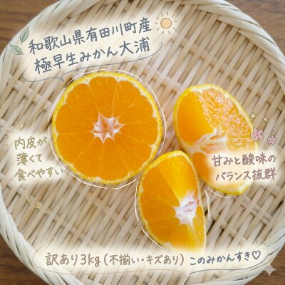 「訳あり 家庭用」極早生みかん 大浦　3kg(S～2Lサイズ混合)