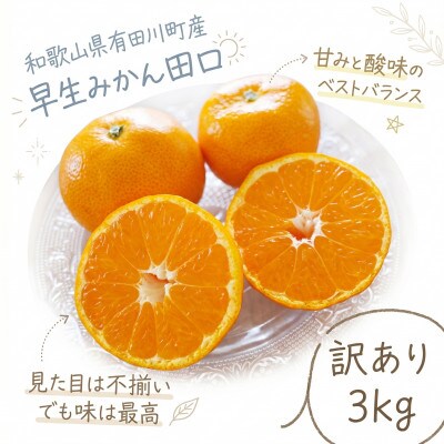 「訳あり 家庭用」早生みかん 田口　3kg(S～2Lサイズ混合)