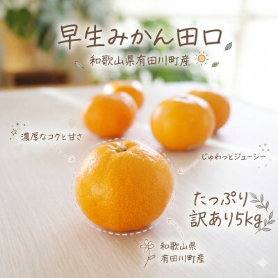 「訳あり 家庭用」早生みかん 田口　5kg(S～2Lサイズ混合)