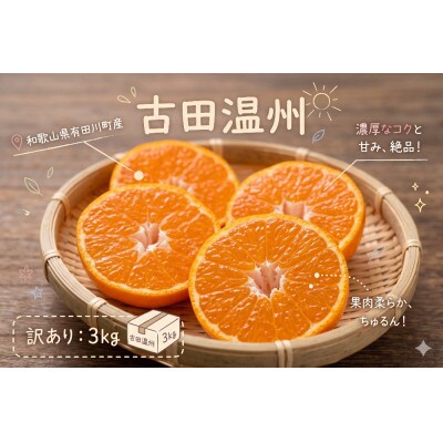 「訳あり 家庭用」晩生みかん 古田温州　3kg(S～2Lサイズ混合)
