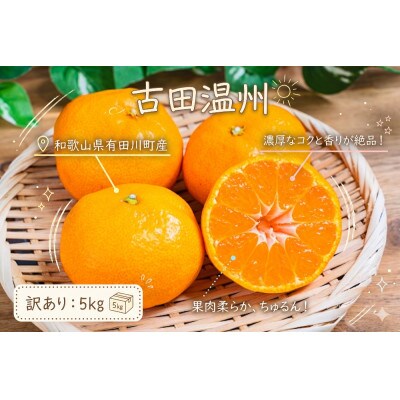 「訳あり 家庭用」晩生みかん 古田温州　5kg(S～2Lサイズ混合)