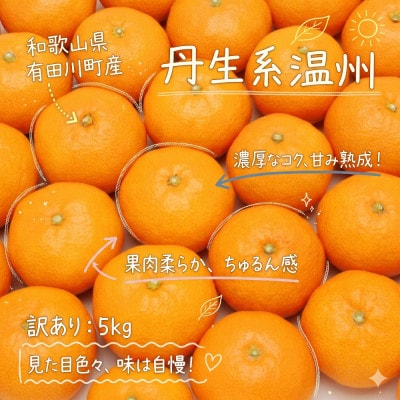「訳あり 家庭用」丹生系温州みかん　5kg(S～2Lサイズ混合)