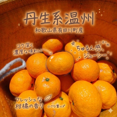 「訳あり 家庭用」丹生系温州みかん　5kg(S～2Lサイズ混合)