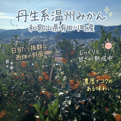 「訳あり 家庭用」丹生系温州みかん　5kg(S～2Lサイズ混合)