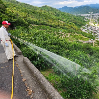 「訳あり 家庭用」丹生系温州みかん　5kg(S～2Lサイズ混合)