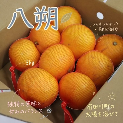 《訳あり 家庭用》八朔　3kg(S～2Lサイズ混合)