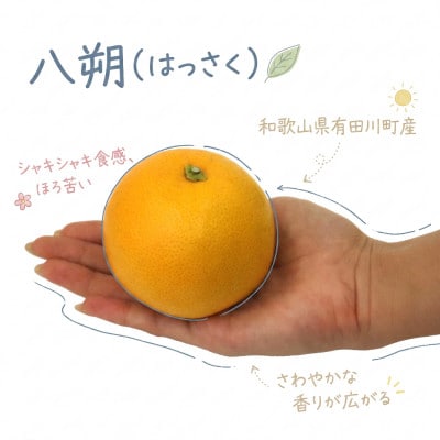 《訳あり 家庭用》八朔　3kg(S～2Lサイズ混合)