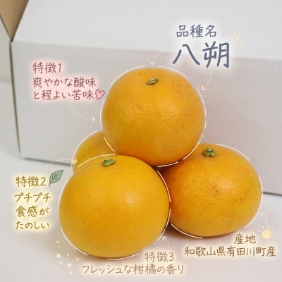 《訳あり 家庭用》八朔　3kg(S～2Lサイズ混合)