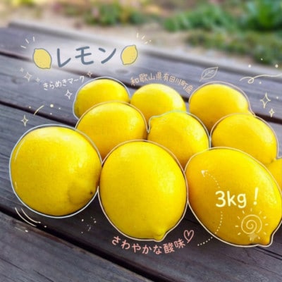 《訳あり 家庭用》レモン　3kg(S～2Lサイズ混合)