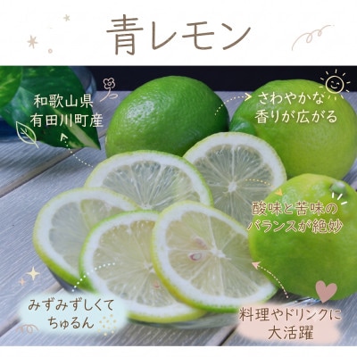 《訳あり 家庭用》青レモン　3kg(S～2Lサイズ混合)