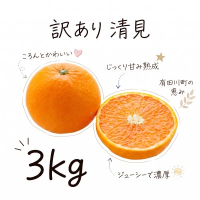 《訳あり 家庭用》清見　3kg(S～2Lサイズ混合)