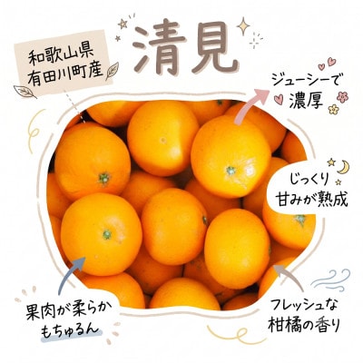 《訳あり 家庭用》清見　5kg(S～2Lサイズ混合)