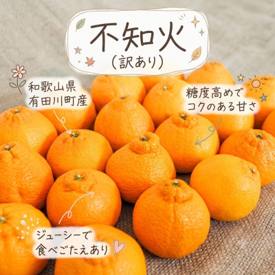 《訳あり 家庭用》不知火　3kg(S～2Lサイズ混合)