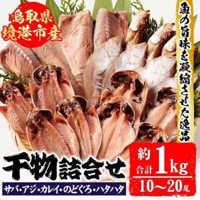 境港産前浜干物セットA