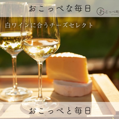 白ワインに合うチーズセレクト(5点)【143】
