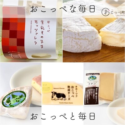 白ワインに合うチーズセレクト(5点)【143】