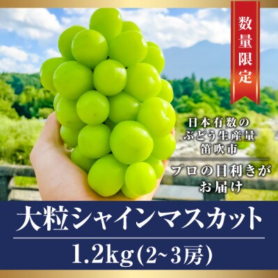 【大人気】笛吹市産厳選シャインマスカット約1.2kg(2房～3房)