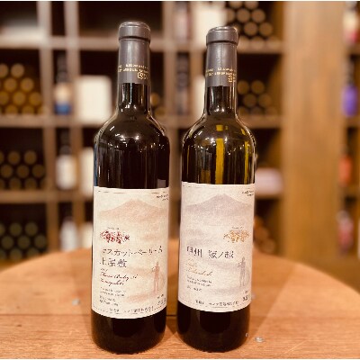 モンデ酒造　自社畑産ワインセット　マスカットベーリーA上屋敷・甲州塚ノ越2本セット