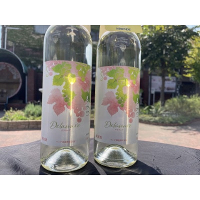 モンデ酒造の2022新酒デラウェア2本セット　山梨ヌーボ