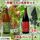 【モンデ酒造】一升瓶ワイン6本セット(甲州、ベーリーA、各3本)