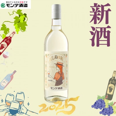 【2025年新酒ワイン】デラウェア　720ml　★オビワンさんデザインラベル★