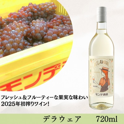 【2025年新酒ワイン】デラウェア　720ml　★オビワンさんデザインラベル★